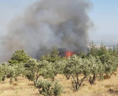 Hatay'da korkutan orman yangını! Havadan ve karadan müdahale ediliyor! - Resim : 1