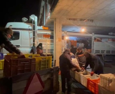 Zeytinde çileli hasat zamanı! Bursalı zeytin üreticileri sitem etti: Fiyatlar maliyeti karşılamıyor! - Resim : 1