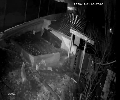 Karabük'te gece evinin kamerasını kontrol eden vatandaş, gördüğü canlılar karşısında dehşete düştü! 2'si de girmiş - Resim : 1