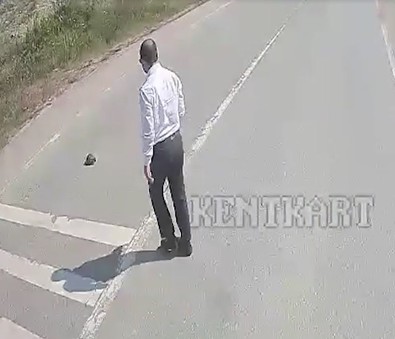 Seyir halinde giderken onu fark etti, aracı yolun ortasında durdurup indi. Hareketiyle büyük takdir topladı - Resim : 1