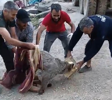 Kafası tenekeye sıkışmış halde buldular. Hemen bir battaniyeye sarıp çalıştıkları şantiyeye götürdüler - Resim : 1