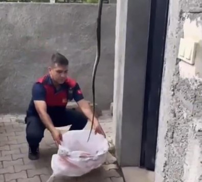 Adana'dan sonra Osmaniye'de bir eve girdi. Ev sahibi telefona sarılıp hemen ekip çağırdı. Artık evimizin salonuna kadar girdiler, aman dikkat - Resim : 1