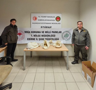 Kapıkule sınırından Türkiye'ye giriş yapan araçta tam 33 tanesi canlı halde bulundu. Ekipler hemen harekete geçti - Resim : 2