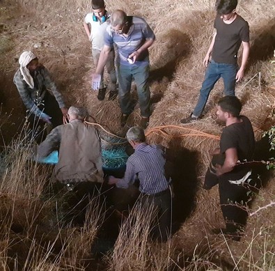 Diyarbakır'da dereye düşen devasa canlının imdadına belediye ekipleri koştu. İş makinesinin yardımıyla kurtarmayı başardılar - Resim : 1