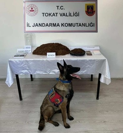 Tokat'ta uyuşturucu operasyonu: 5 tutuklama! - Resim : 1