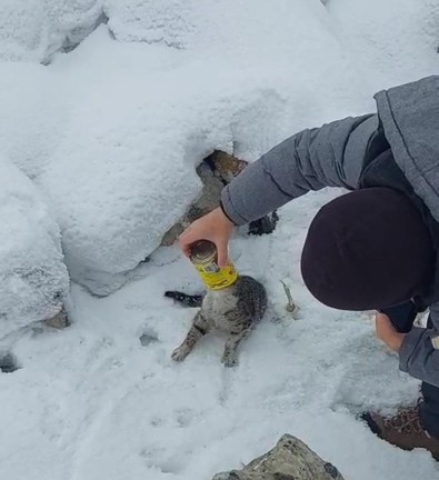 Erzurum'da karın altından acı acı bağırış sesleri geliyordu. İki kardeş karı kaldırınca o hayvanı korkunç halde gördü - Resim : 1