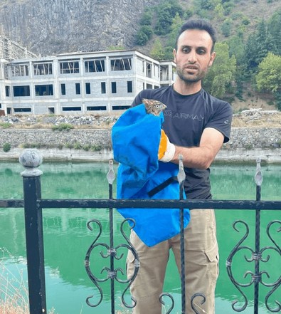Artvin’de bulunan yaralı atmaca tedavisi için hemen Milli Parklar yetkililerine teslim edildi - Resim : 2