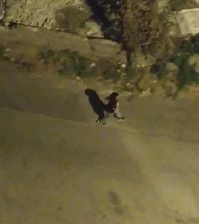 Polisler nöbet tutuyor! Tabancayla başından vurulmuştu! - Resim : 1