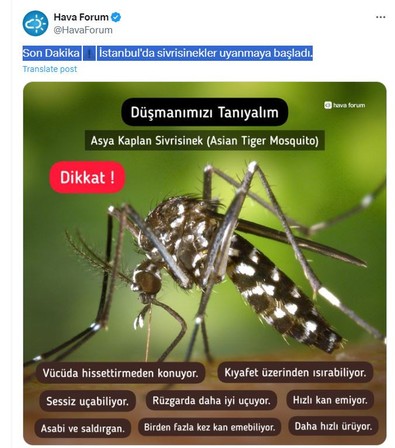 Türkiye son dakika uyarısı şimdi geldi. Pazar gece yatarken evlerinizi koruyun. Kan emici yaratık uyandı - Resim : 1