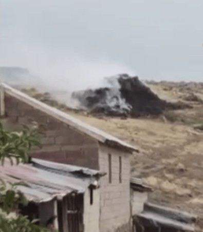 Erciş’te düşen yıldırım yürekleri ağza getirdi, 3 bin bağ ot yandı - Resim : 1