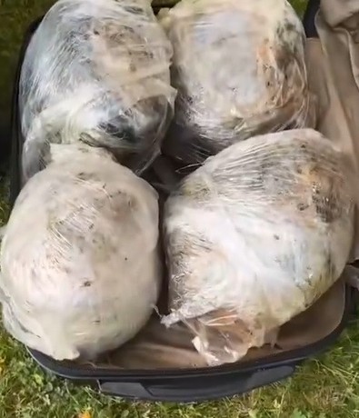 Trende narkotik operasyonu: 1 kişi yakalandı! 5 kilo uyuşturucu ele geçirildi - Resim : 1