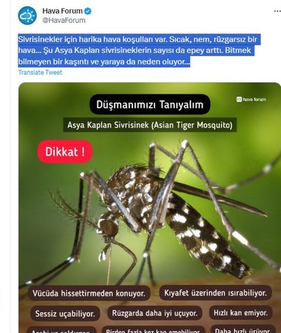 Türkiye dikkat! Şimdi tam da onların zamanı... Aşırı derecede çoğalmaya başladılar, geldiklerinde felaketle geliyorlar. Evimizdeki düşman o - Resim : 1