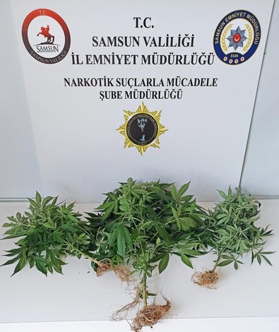 Samsun'da narkotik operasyonu: 19 kişi uyuşturucuyla yakalandı! - Resim : 1