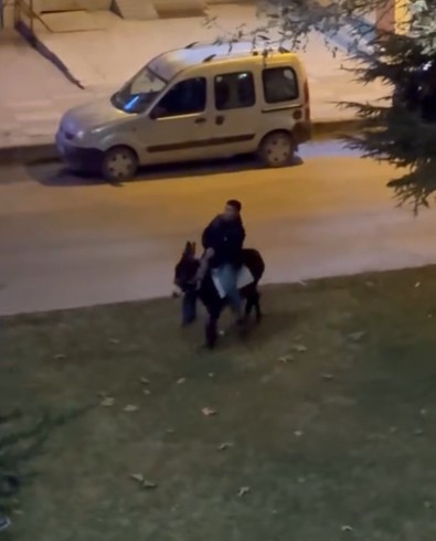 Elazığ'da akşam saatlerinde cadde boyunca gezerken onu görenler şaşkına döndü - Resim : 1