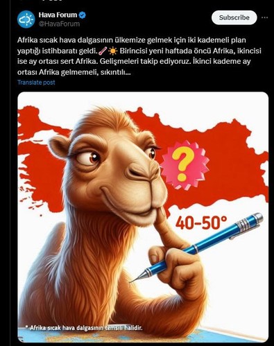 Türkiye'ye Afrika'dan yola çıktı geliyor. Gireceği tarih resmen verildi - Resim : 1