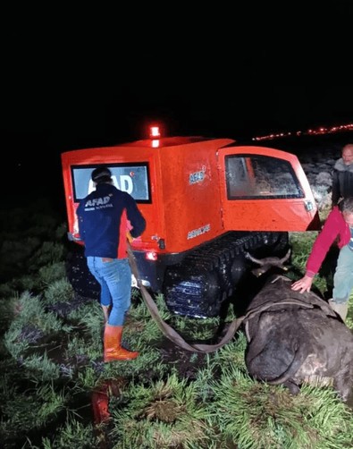 Gecenin bir vakti görmedi… Bir anda kendini bataklıkta buldu … Hemen ekipler müdahale etti - Resim : 2