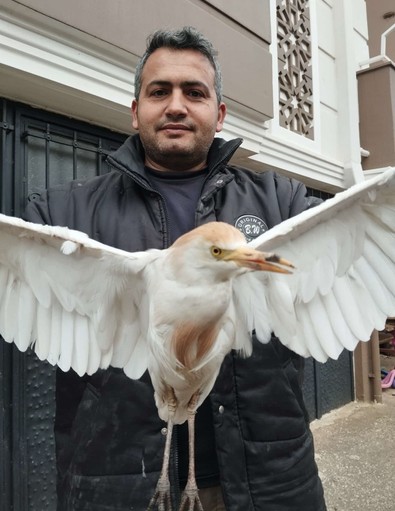 Antalya'da evinin çevresinde oynayan çocuklarının yanında yaralı halde buldu. Bu kadar hiç görmedikleri bir canlıydı. Acil müdahale edildi - Resim : 1