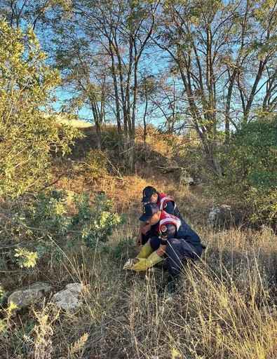 Burdur'da ormanın ortasında yaralı halde bulundu. Yabani hayvan, tedavi için ekiplere teslim edildi - Resim : 2