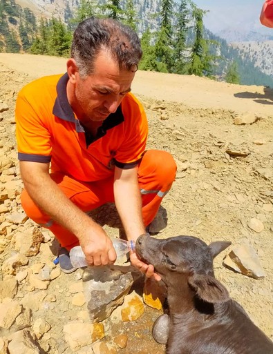 Mersin'de orman yangını 3'üncü gününde! - Resim : 3