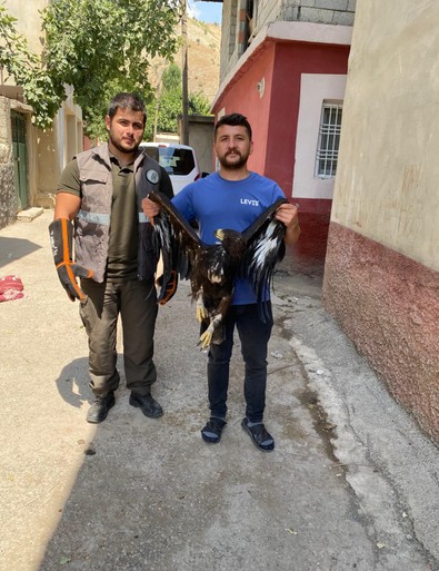 Şırnak'ta vatandaşlar tarafından bitkin ve yaralı halde bulunan canlı, ekiplere teslim edildi. Yapılan tedavinin ardından doğal yaşam alanına bırakıldı - Resim : 1
