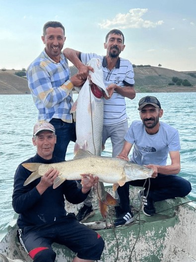 Şanlıurfa'da Fırat Nehrin'de balık tutmaya giden balıkçıların ağına takıldı. Tekneye attıklarında tekne alabora oluyordu - Resim : 1