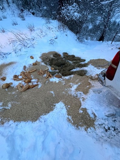 Dondurucu soğuklarda yiyecek bulamayan yaban hayvanlarına yardım vatandaşlardan geldi - Resim : 1