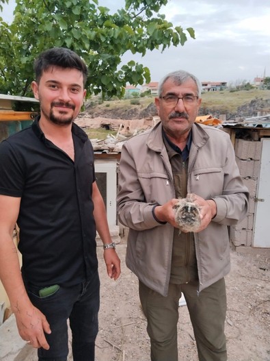 Nevşehir'de doğada gezen vatandaş doğanın vahşi yırtıcısının yavrusunu gördü. Türkiye annesini arıyordu. Resmi yetkilileri aradı detayla şaştılar - Resim : 1