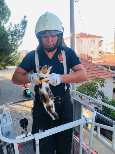 Manisa'da ilkokul bahçesinde tırmandığı ağaçtan inemedi. İmdadına itfaiye ekipleri yetişti - Resim : 2