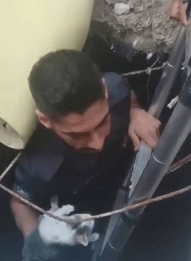 Kuyuya düşen yavru kedi itfaiye ekipleri tarafından kurtarıldı - Resim : 1