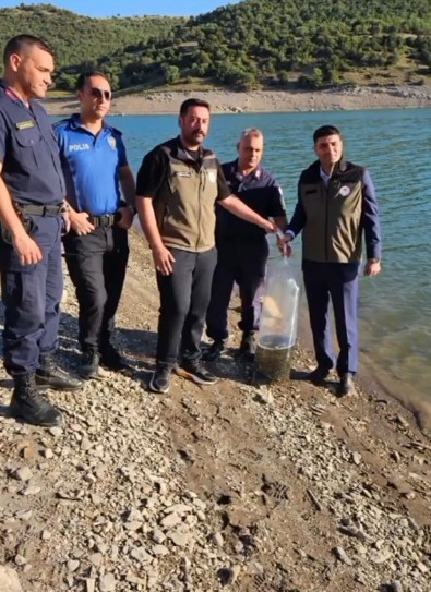 Afyonkarahisar’da 10.000 tanesi tek seferde bırakıldı. 10.000 tanesi kısa bir sürede her yere yayıldı - Resim : 1