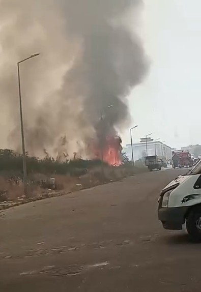 Aydın'ın Efeler İlçesinde çıkan yangın itfaiye ekiplerini harekete geçirdi - Resim : 1