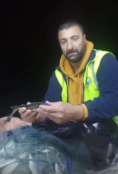 Tüm dünya o hayvanı arıyordu! Sinop'ta ortaya çıktı - Resim : 1