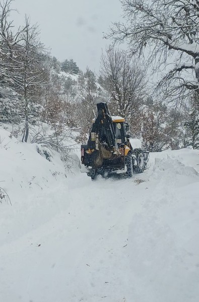 Artvin'de 47 köy yolu kar nedeniyle ulaşıma kapandı! - Resim : 1