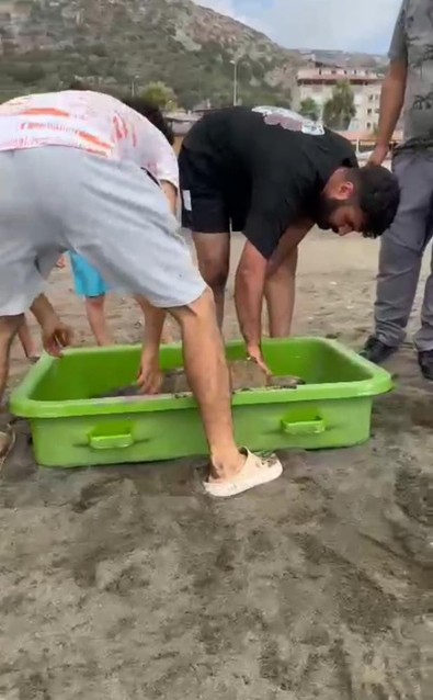 Hatay’da yaralı olarak sahile vurdu. Vatandaşlar hemen ekiplere bildirdi - Resim : 1