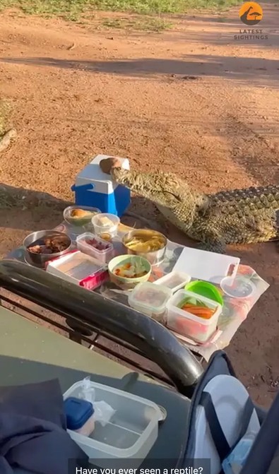 Piknik yapmak istedikleri su kenarından yavaş yavaş yaklaştı... Ortalığı birbirine kattı - Resim : 1