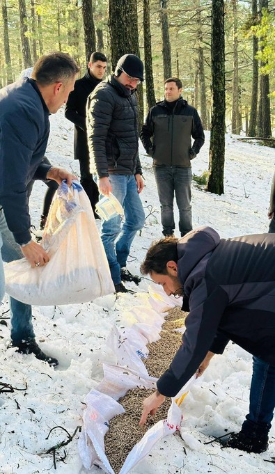 Kazdağları'nın yüksek kesimlerine çıkan ekip, orada yaban hayatını da unutmadı. Doğanın ortasında yüzlerce kilo yem bıraktılar - Resim : 1