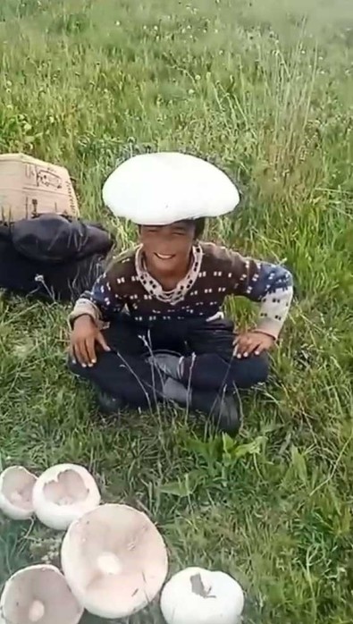 Kars'ta doğanın içinde bulunan dev mantar görenleri şaşırttı - Resim : 1