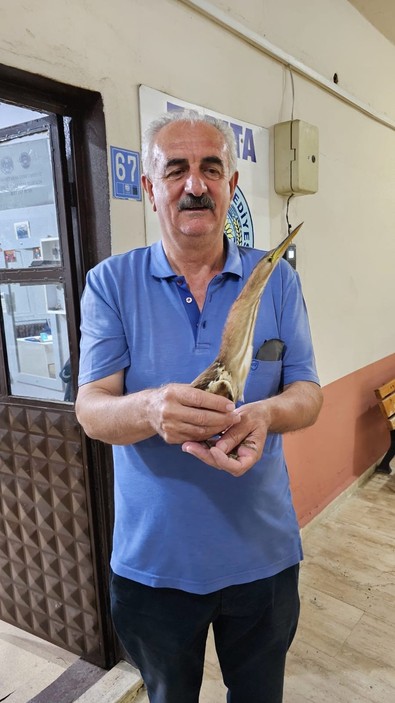 Nesli tükenmek üzere olan ender tür Tekirdağ'da ortaya çıktı - Resim : 1