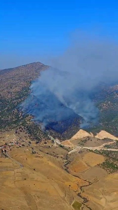 Uşak'ta enerji santrallerinin yakınında orman yangını çıktı! - Resim : 3