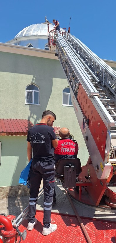 Tokat'ta caminin üstündeki yuvasından düşen yavru itfaiye ekipleri tarafından kurtarıldı - Resim : 1