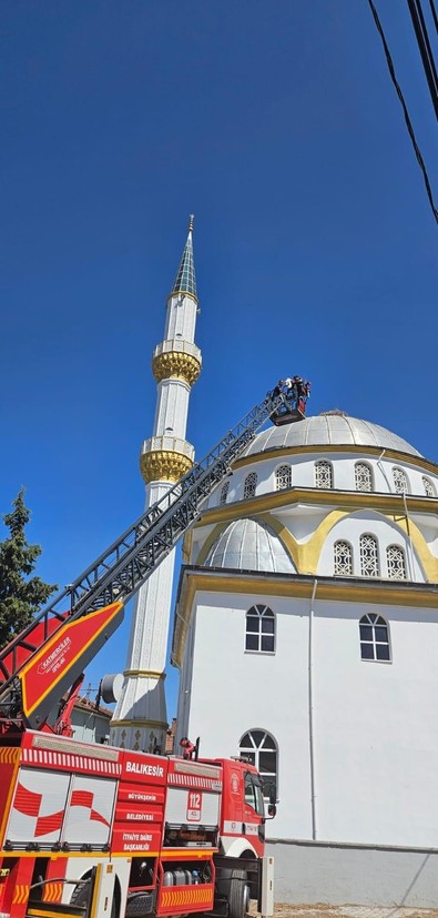 Balıkesir'de cami kubbesindeki yuvasında yaralandı. İmdadına belediye ekipleri koştu - Resim : 1