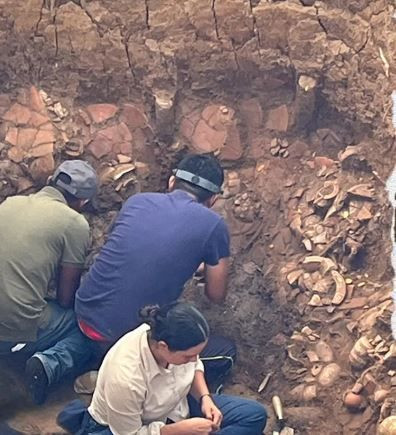 Tarlasında kazı yaparken kazması sert cisme çarptı! Topraktan 100'lerce altın fırladı - Resim: 3