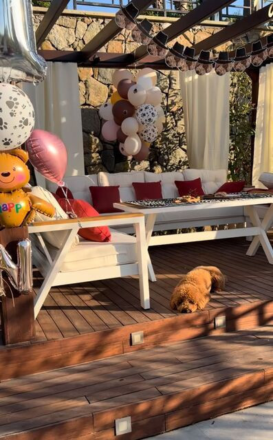 Nesrin Cavadzade'den patili dostuna sürpriz! Doğum günü partisi düzenledi - Resim: 4