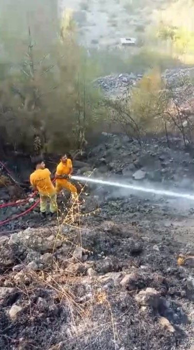 Osmaniye’de orman yangınında mahsur kalan kaplumbağa, suyla hayata tutundu - Resim: 2