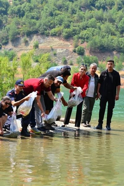 Adana’da, sayı duyan şaştı kaldı! Binlercesi suya, yüzlercesi toprağa bırakıldı - Resim: 2