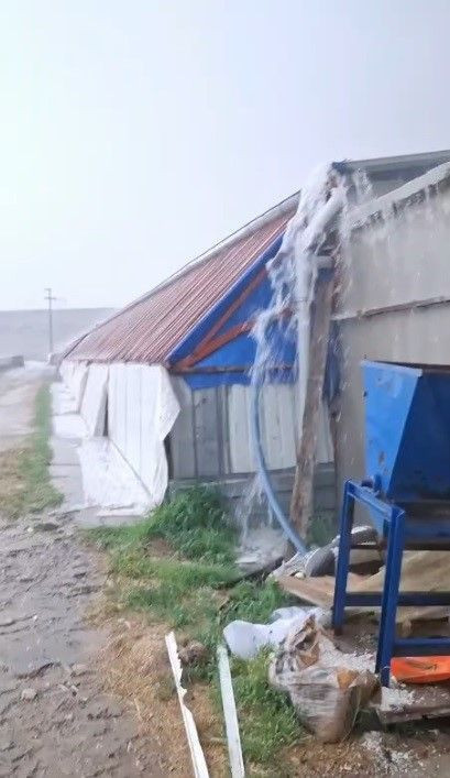 Konya'dan Türkiye'ye müthiş haber! Çiftçi 20 dönümlük tarlasına bakmaya gidince gördüğü manzara ile sevinçten havalara uçtu - Resim: 2