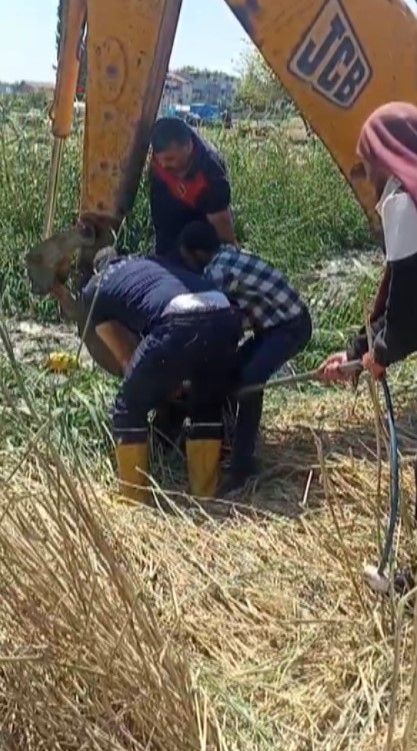 Hatay'da 2 tane koyun alan vatandaş koyunları bahçeye bıraktı. Daha sonra çıkıp 2 tane koyuna baktığında gördüğü manzara ile resmen titreme geçirdi - Resim: 4
