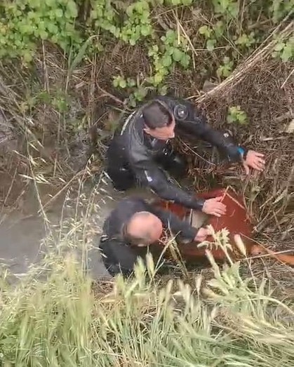 2 milyon TL’lik altın dolu kasayı çaldılar! Hırsızların kimliği herkesi şoke etti - Resim : 1