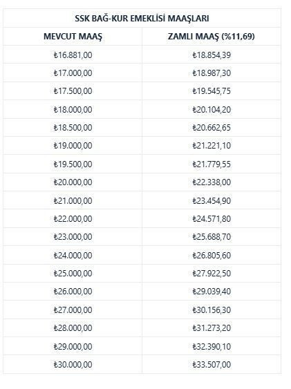 Yeni yılda emekli maaşları ne kadar artacak? Taban aylıklar ne kadar olacak? İşte SSK ve BAĞ-KUR'lular için yeni tablo - Resim: 9