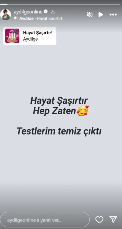 Apar topar hastaneye kaldırılmıştı! Ünlü şarkıcı Aydilge'den haber geldi - Resim: 4